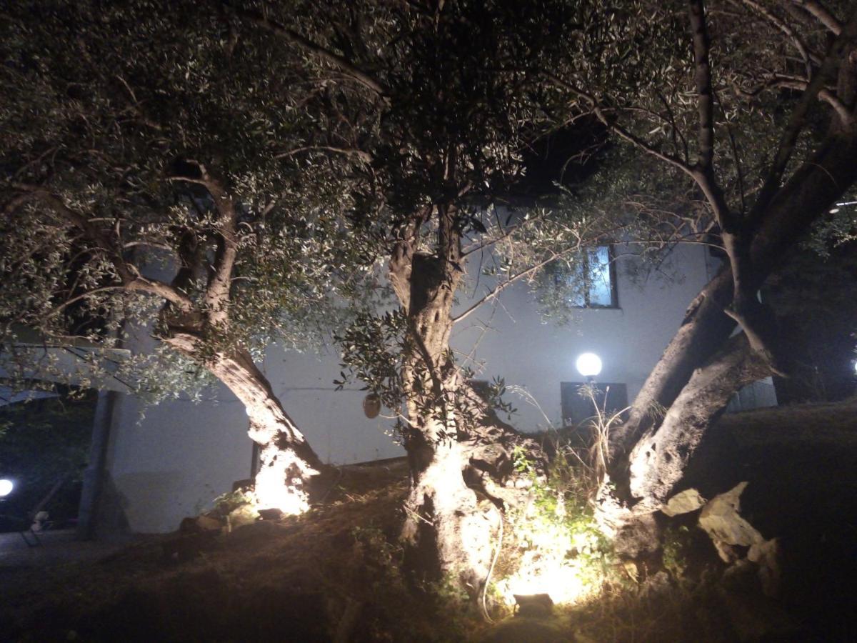 Castell'Umberto L'Antica Quercia B&B المظهر الخارجي الصورة